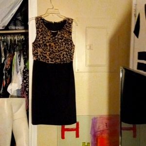 Animal print size 10 cocktail dress